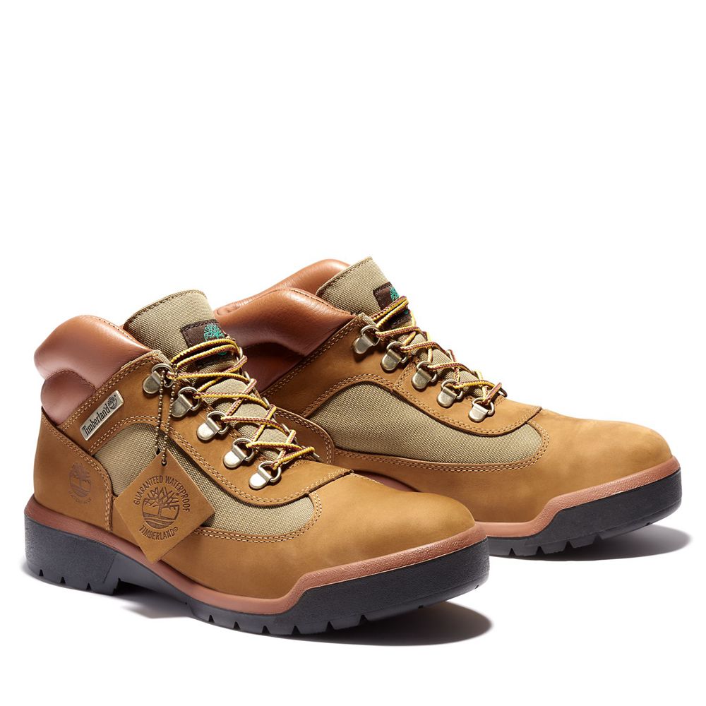 Zapatillas Timberland Hombre Waterproof Field Boots Marrones - Chile TSO-269587